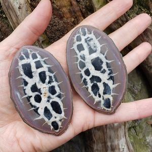 Split Pair Septarian Stone Nodule